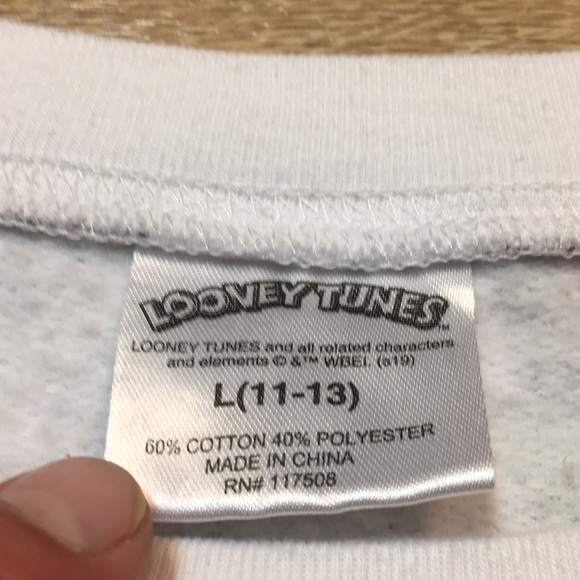 Looney Tunes Sweatshirt Youth Sz Large (Fits Men Medium) Fleece Lined Crew Neck - Picture 5 of 11